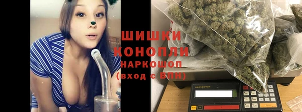 индика Михайлов