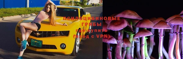 хмурый Михайловка