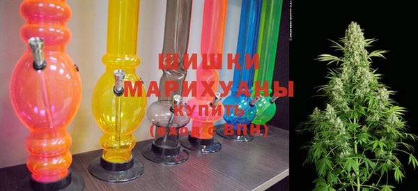 прущие грибы Михайловск