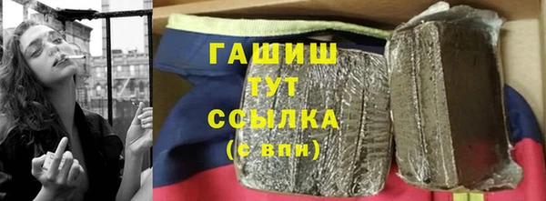 индика Михайлов