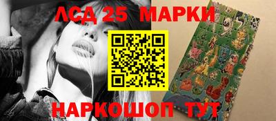 индика Будённовск