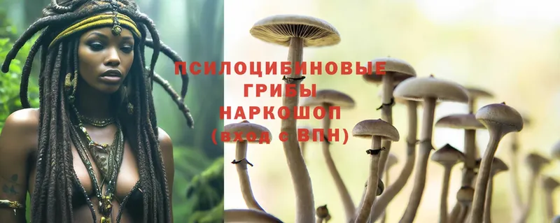 Галлюциногенные грибы Magic Shrooms  даркнет клад  Коммунар 