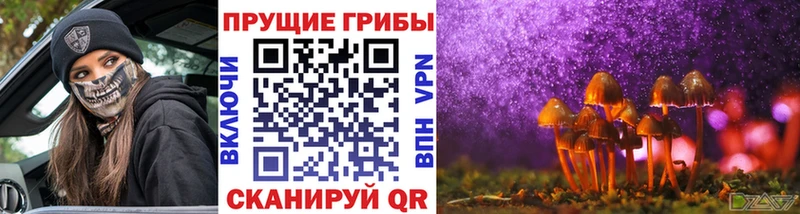 Псилоцибиновые грибы Psilocybine cubensis  Коммунар 