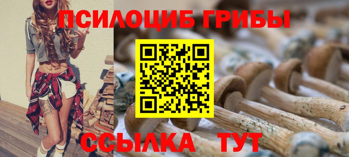 Галлюциногенные грибы Psilocybine cubensis  Коммунар 