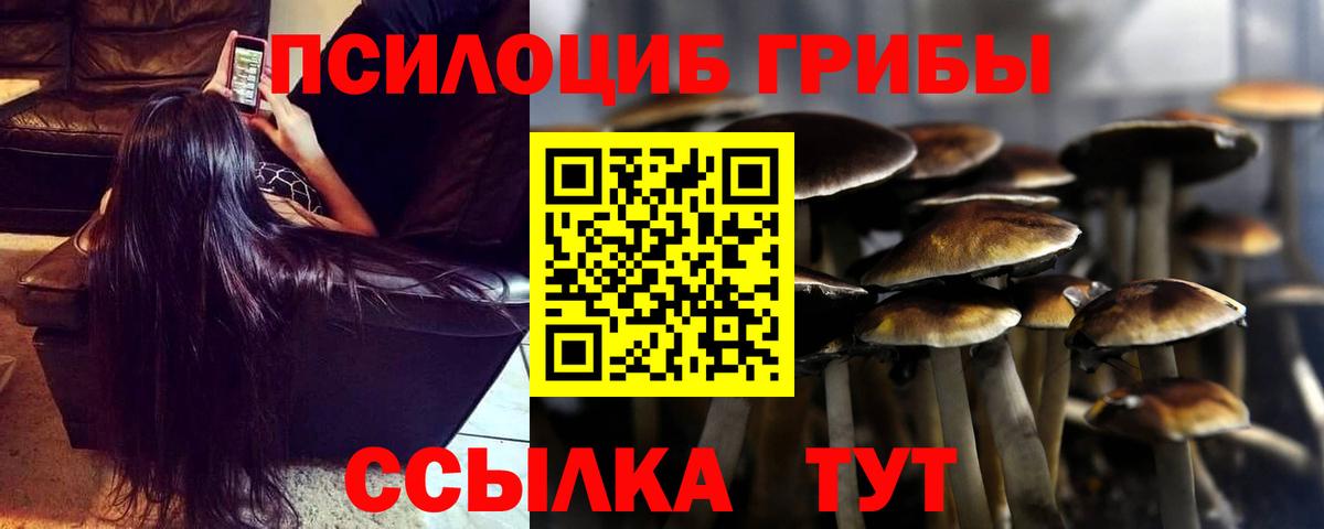 Галлюциногенные грибы Cubensis Коммунар